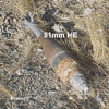 Mortars