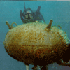 underwater